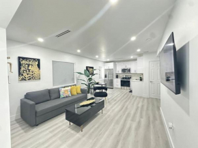 Modern House in the Heart of Miami